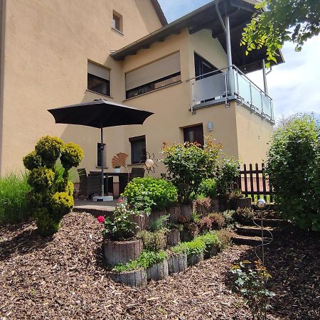Zum Buchenblick Apartment Sankt Wendel Exterior photo